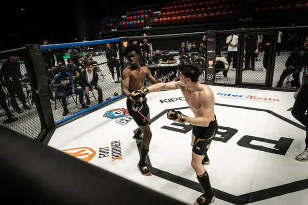PEF MMA