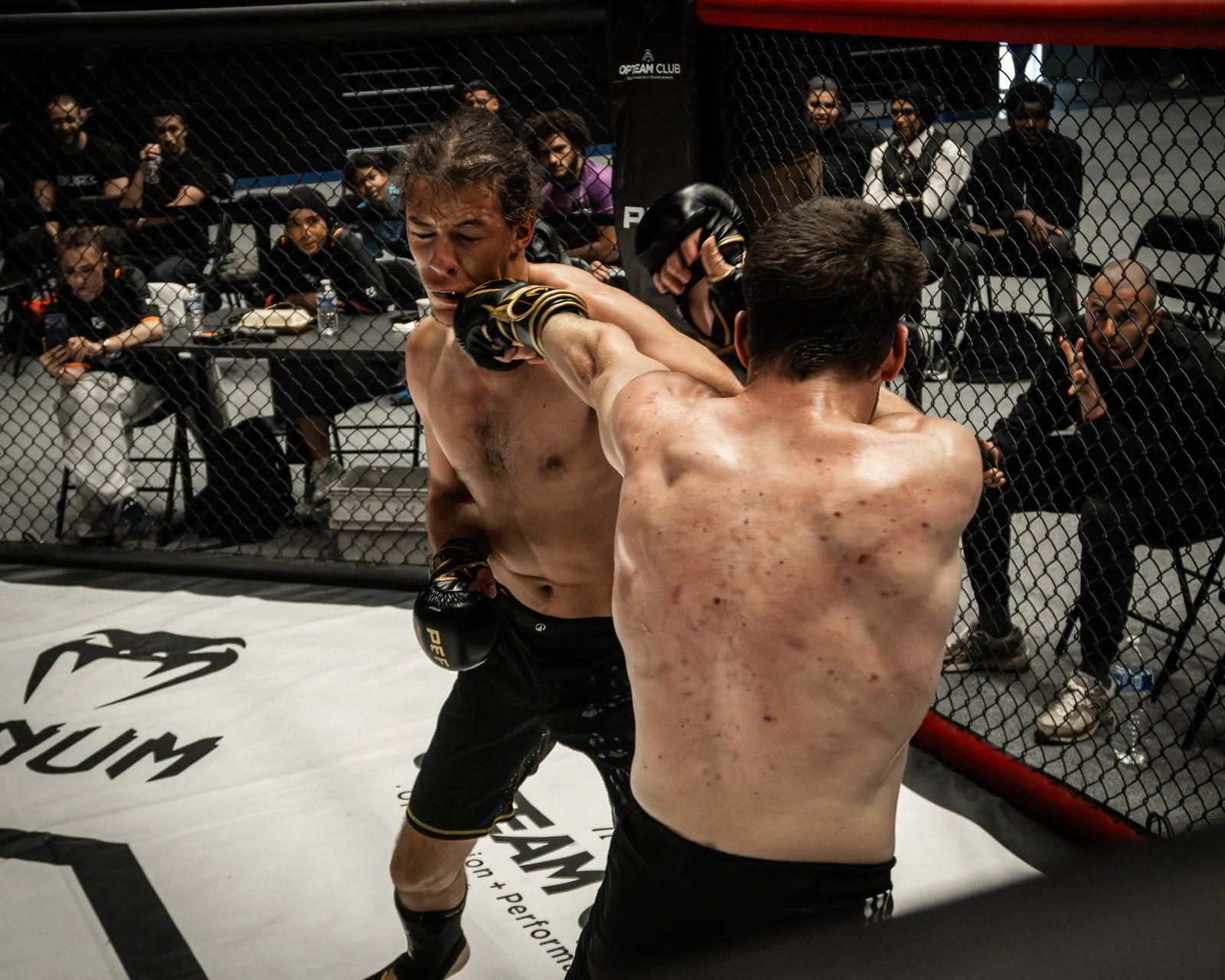 PEF MMA